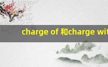 charge of 和charge with